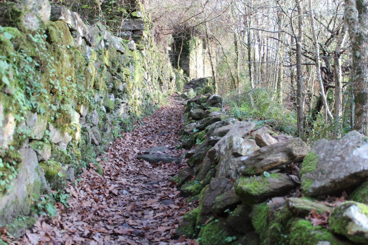 Pantón Ribeira Sacra * Santa María